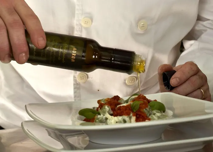 파크 플라자 히스트리아 4* 풀라