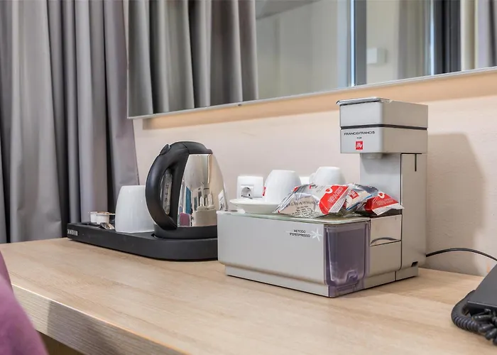 파크 플라자 히스트리아 호텔 풀라