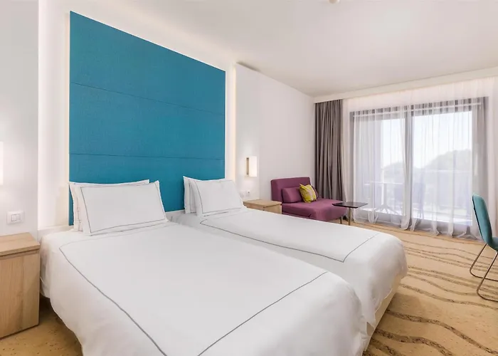 파크 플라자 히스트리아 풀라