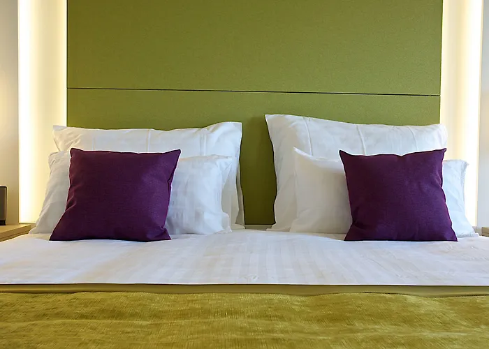 호텔 파크 플라자 히스트리아 4*