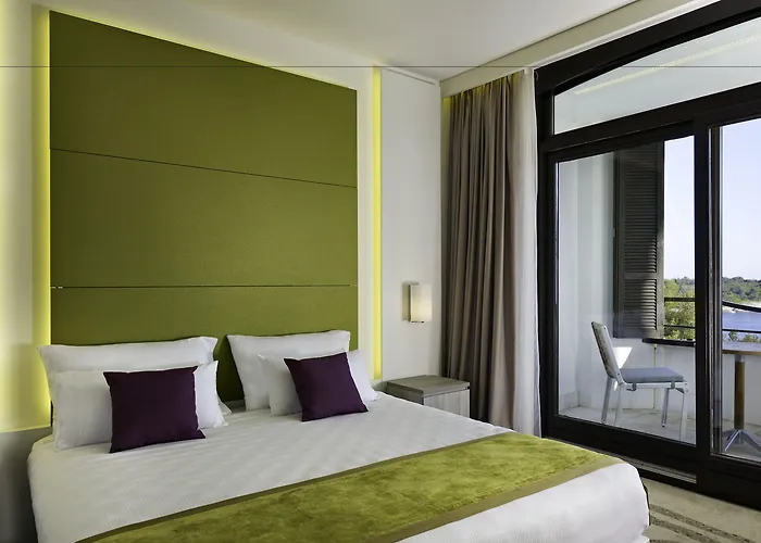 파크 플라자 히스트리아 풀라